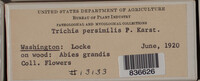 Image Associated With the Occurence